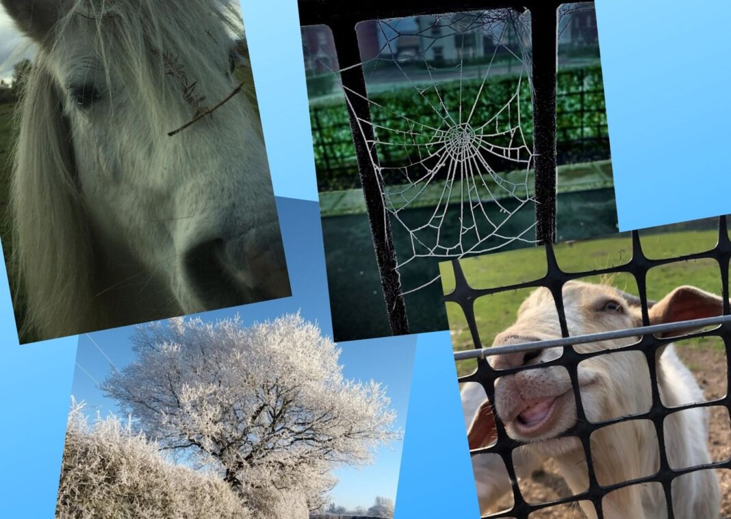 Students from the Coleshill School are getting arty during lockdown.