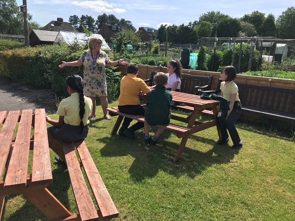 Year 5 and 6 children enjoying their first allotment club session. 