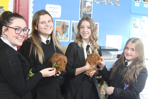 Students support in feeding and cleaning out the furry friends’ home and can earn an award when they develop skills based around animal keeping.